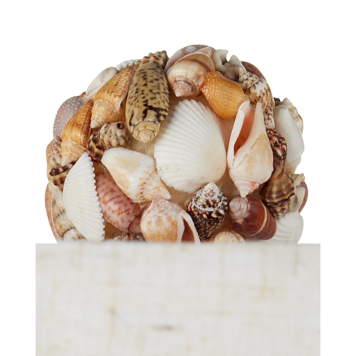 Currey and Company - 6000-1055 - One Light Table Lamp - Seascape - Natural