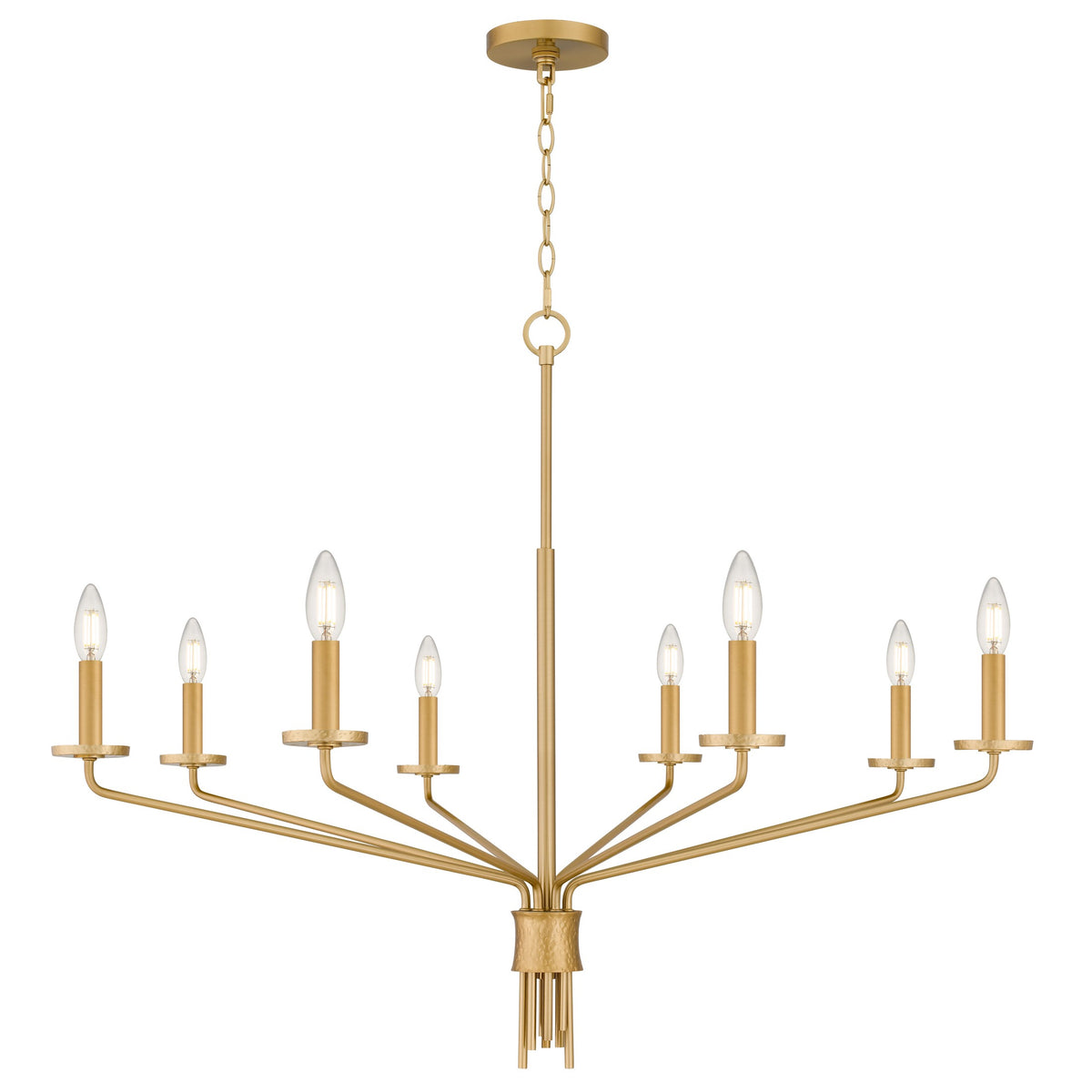 Quoizel - ALEX5040BRG - Eight Light Chandelier - Alexander - Brushed Gold