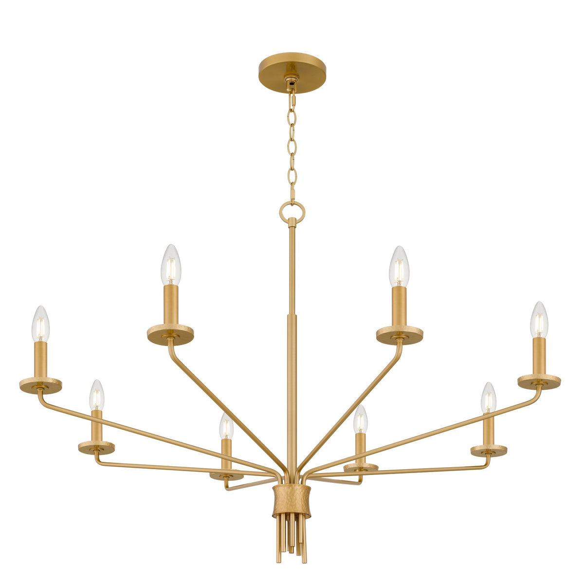 Quoizel - ALEX5040BRG - Eight Light Chandelier - Alexander - Brushed Gold