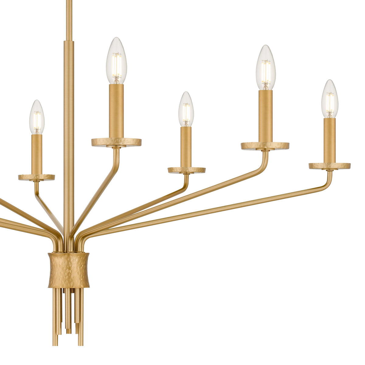 Quoizel - ALEX5040BRG - Eight Light Chandelier - Alexander - Brushed Gold