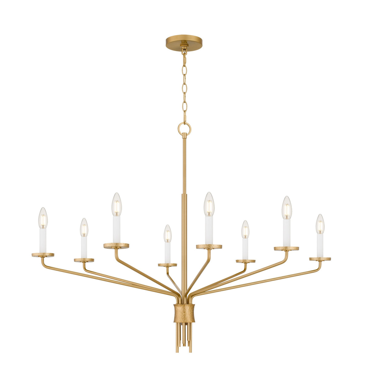 Quoizel - ALEX5040BRG - Eight Light Chandelier - Alexander - Brushed Gold