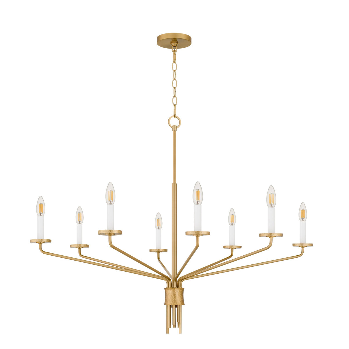 Quoizel - ALEX5040BRG - Eight Light Chandelier - Alexander - Brushed Gold