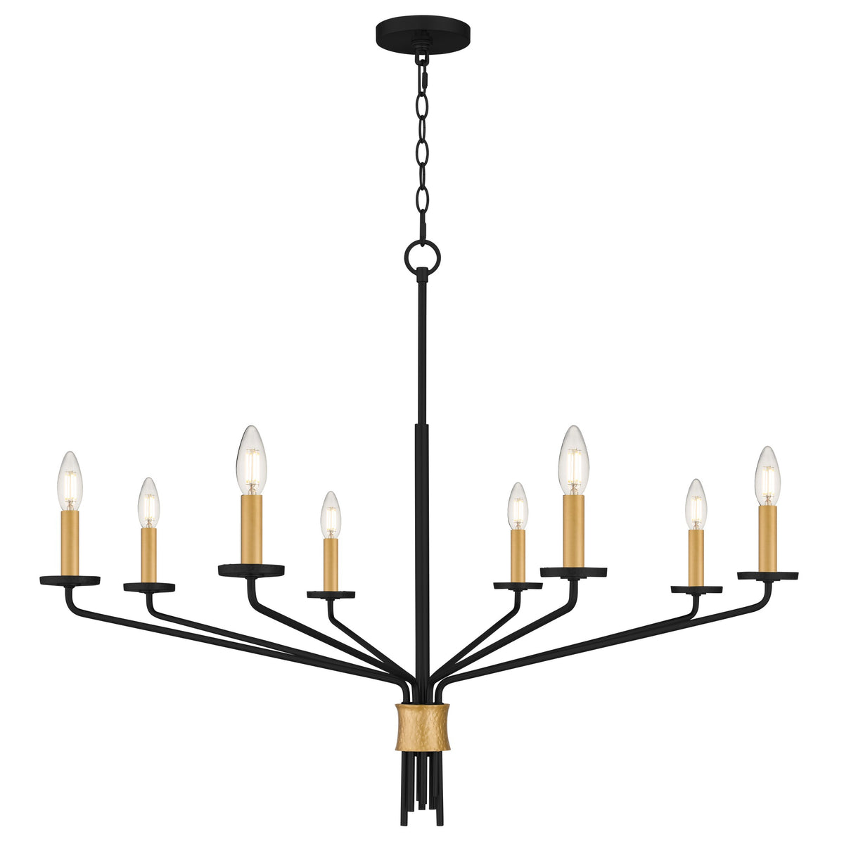 Quoizel - ALEX5040MBK - Eight Light Chandelier - Alexander - Matte Black