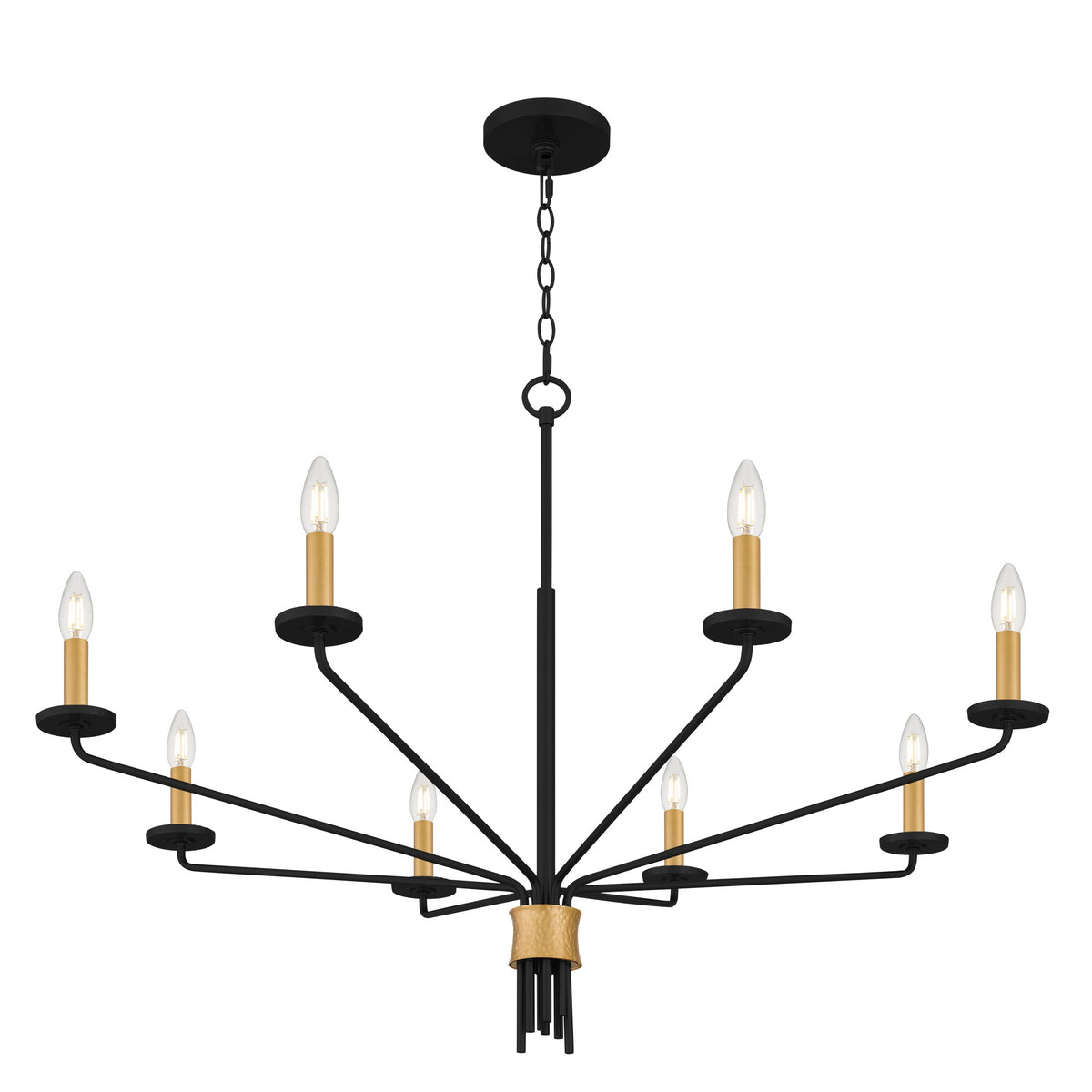 Quoizel - ALEX5040MBK - Eight Light Chandelier - Alexander - Matte Black
