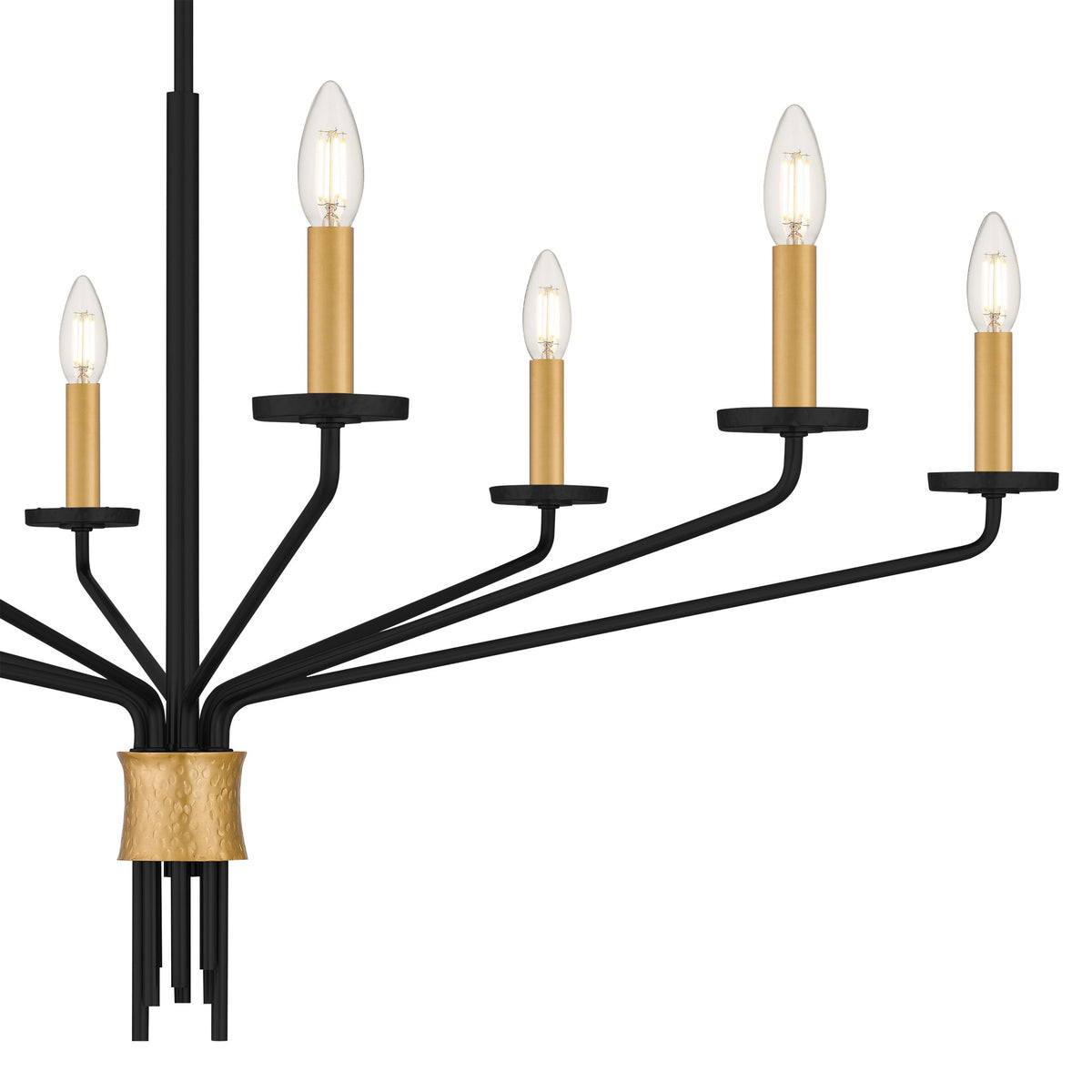 Quoizel - ALEX5040MBK - Eight Light Chandelier - Alexander - Matte Black
