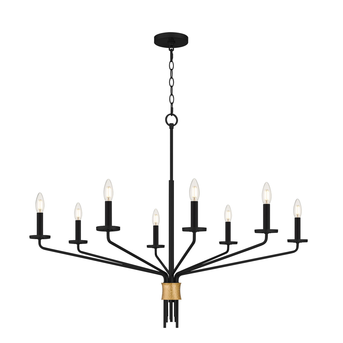 Quoizel - ALEX5040MBK - Eight Light Chandelier - Alexander - Matte Black