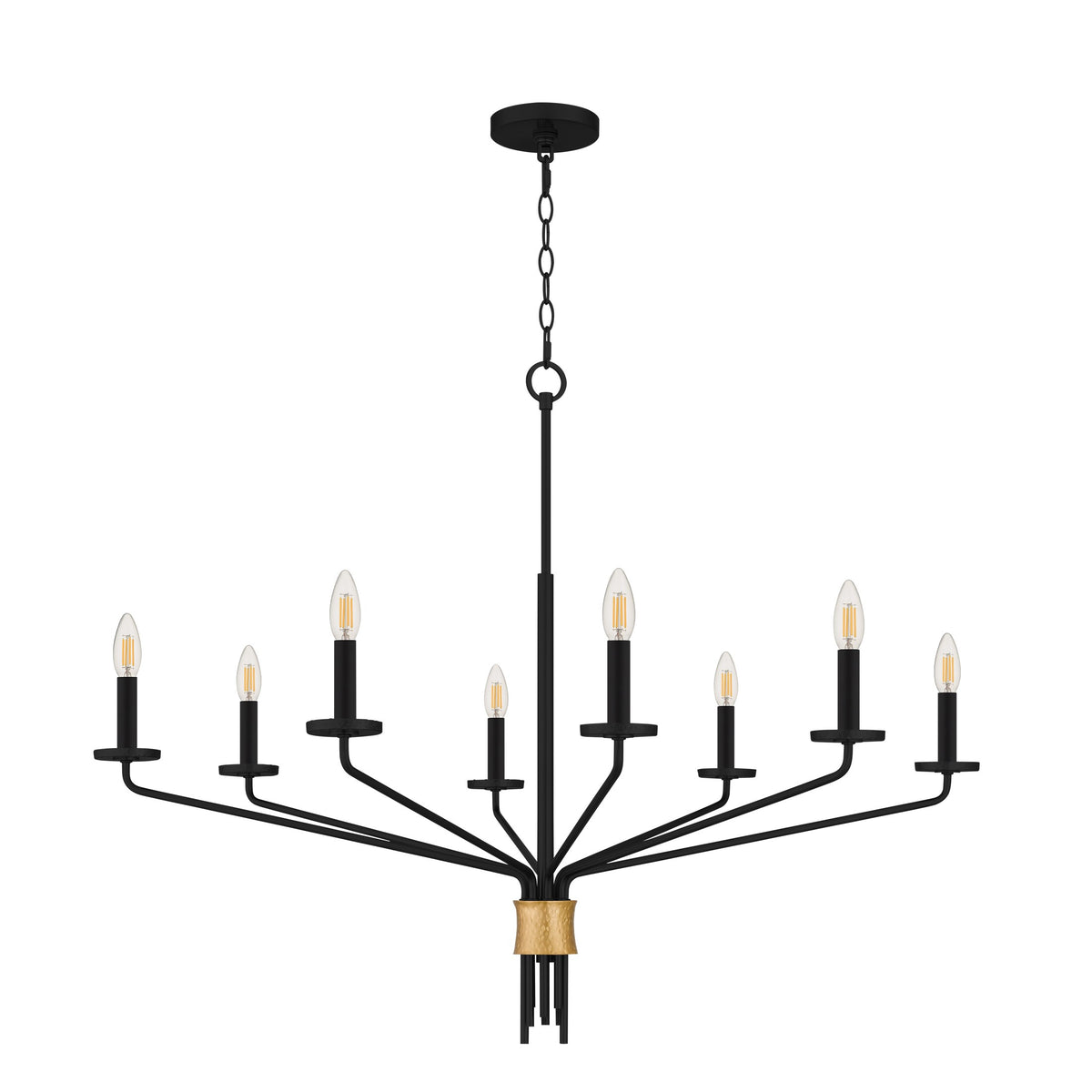Quoizel - ALEX5040MBK - Eight Light Chandelier - Alexander - Matte Black