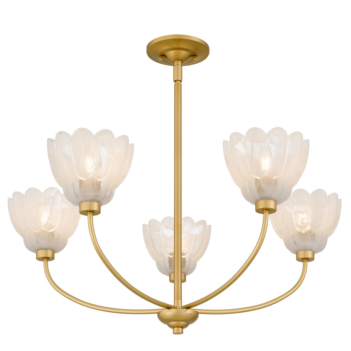 Quoizel - WHP5028BRG - Five Light Chandelier - Whitecap - Brushed Gold