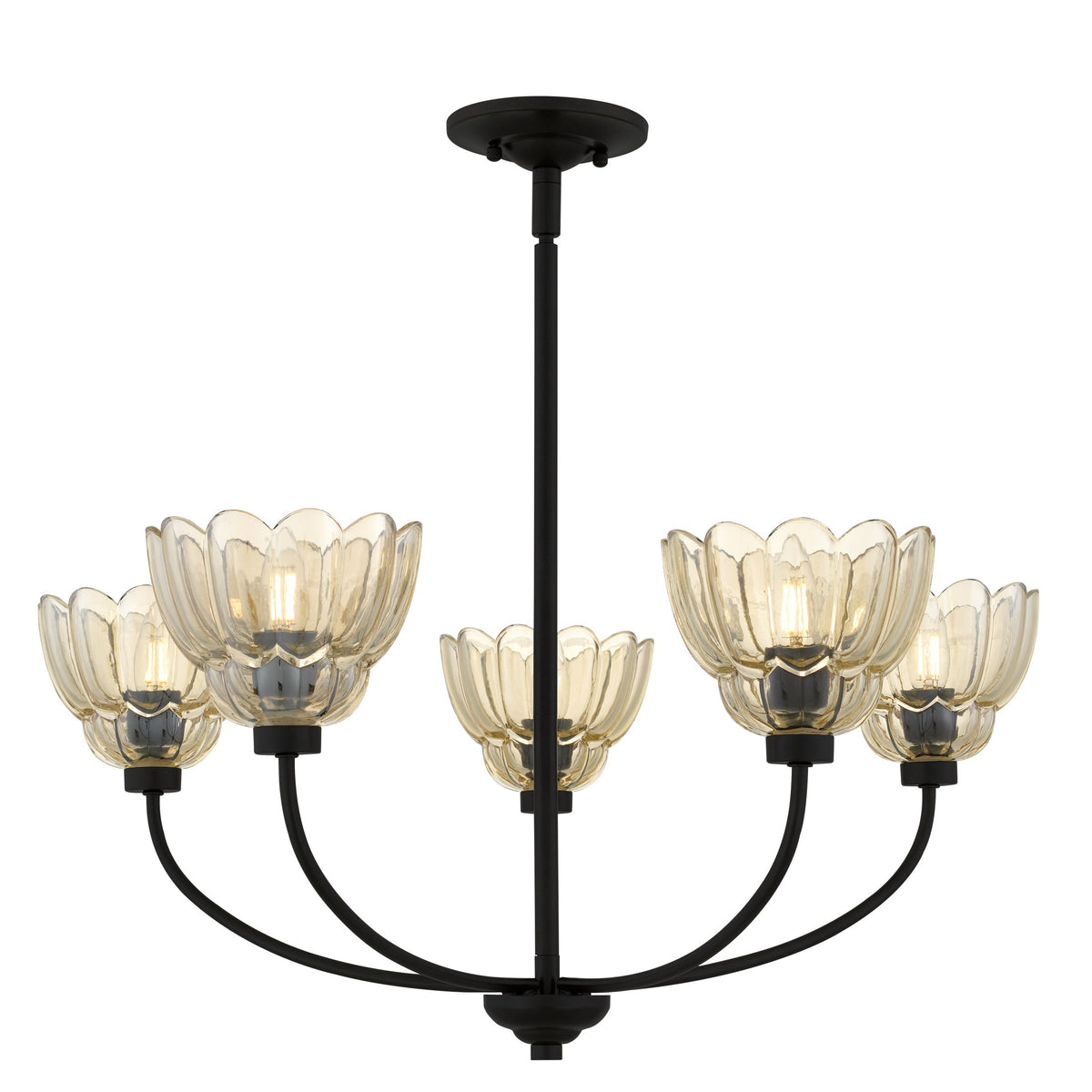 Quoizel - WHP5028MC - Five Light Chandelier - Whitecap - Mottled Cocoa