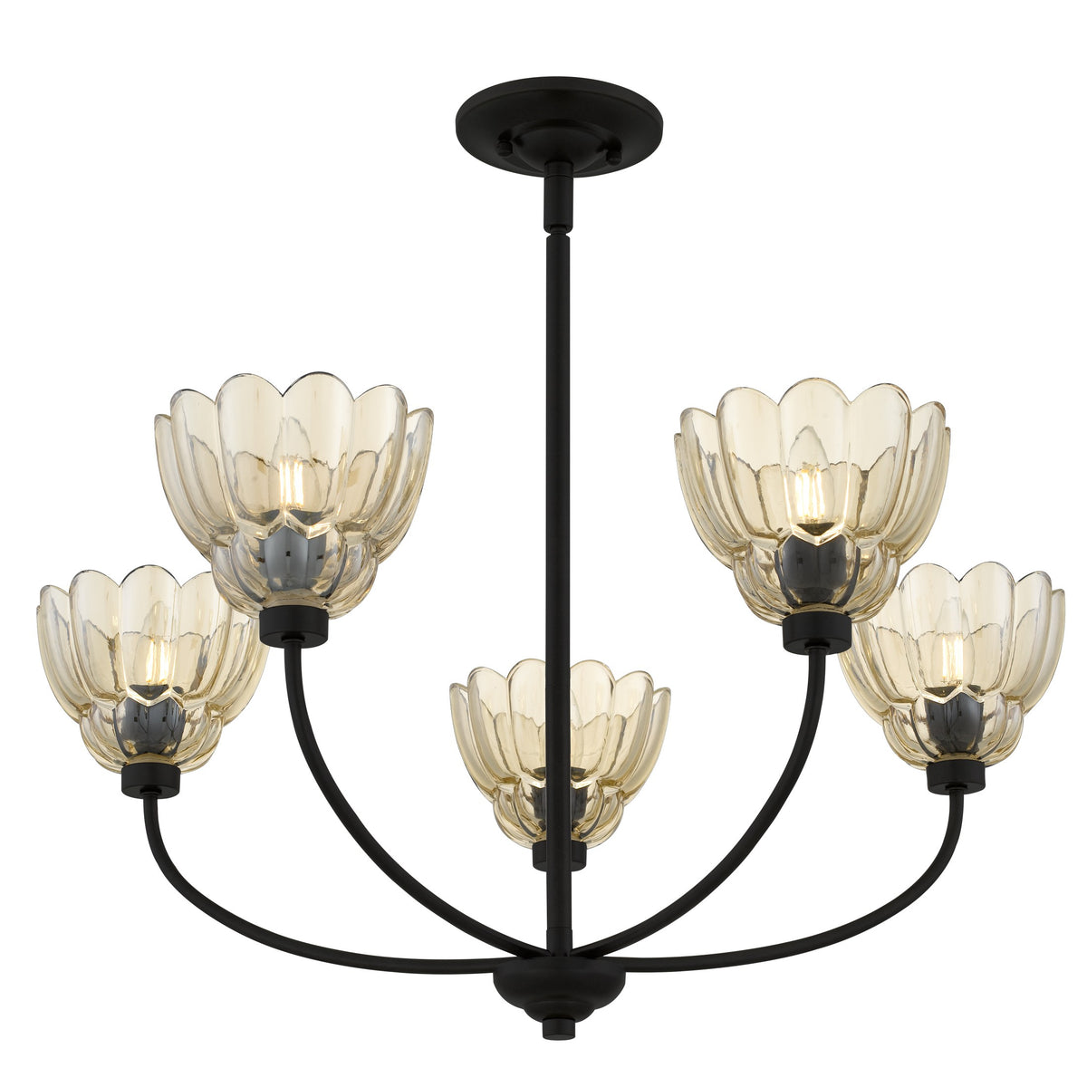 Quoizel - WHP5028MC - Five Light Chandelier - Whitecap - Mottled Cocoa