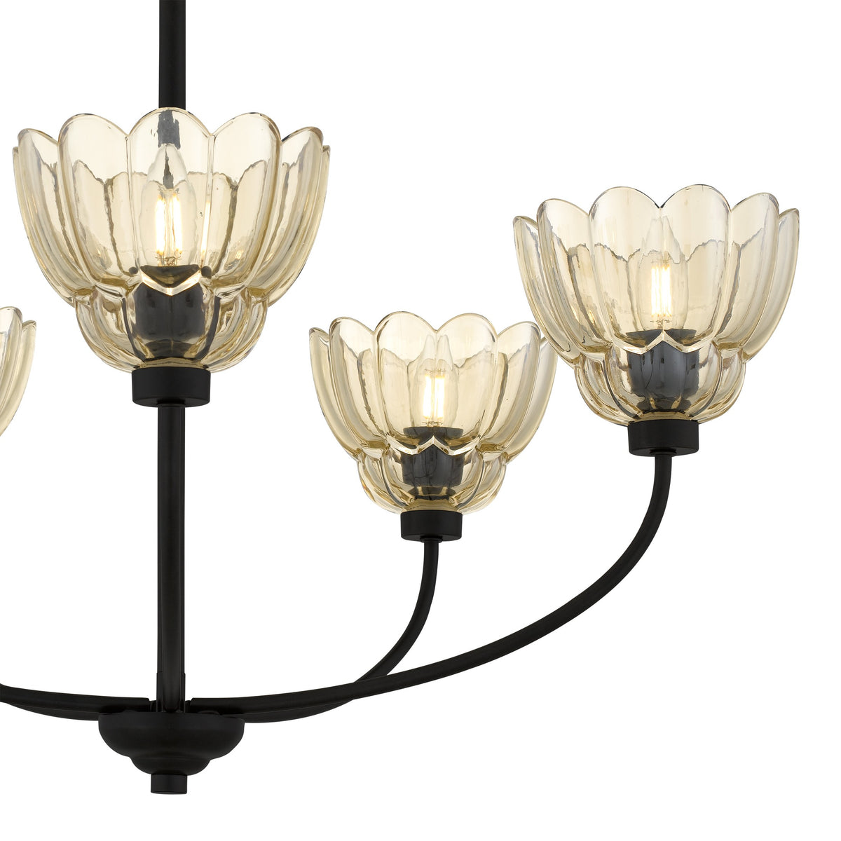 Quoizel - WHP5028MC - Five Light Chandelier - Whitecap - Mottled Cocoa