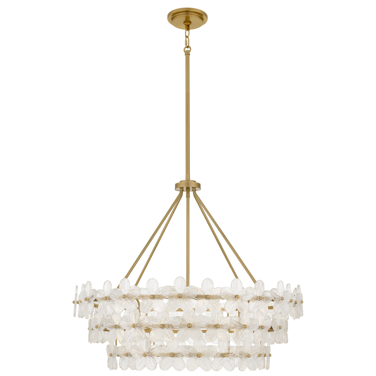 Quoizel - WRIG2830BRG - Six Light Pendant - Wright - Brushed Gold