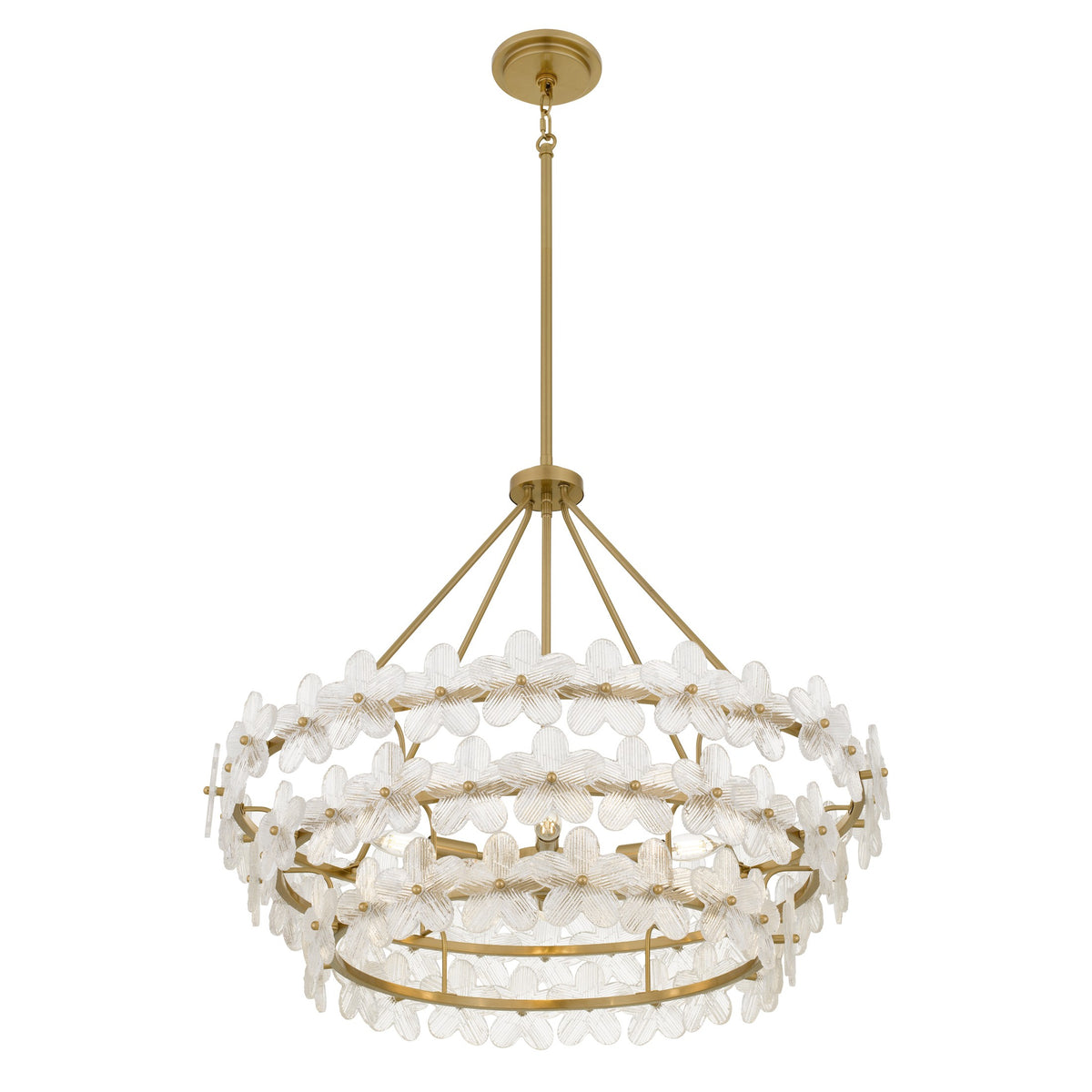 Quoizel - WRIG2830BRG - Six Light Pendant - Wright - Brushed Gold