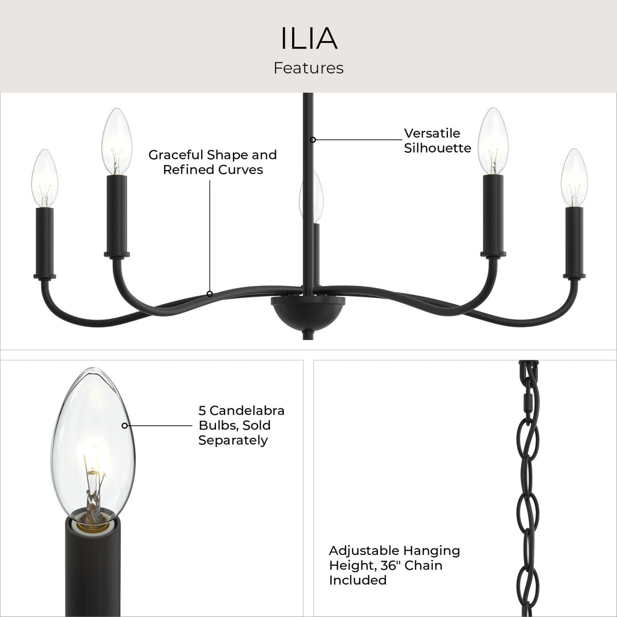 Progress Lighting - P400462-31M - Five Light Chandelier - Ilia - Matte Black