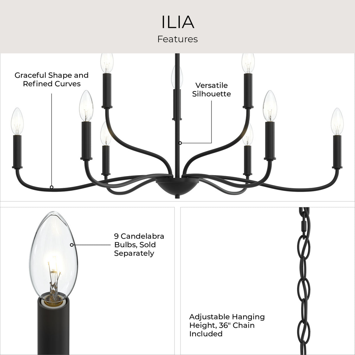 Progress Lighting - P400465-31M - Nine Light Chandelier - Ilia - Matte Black