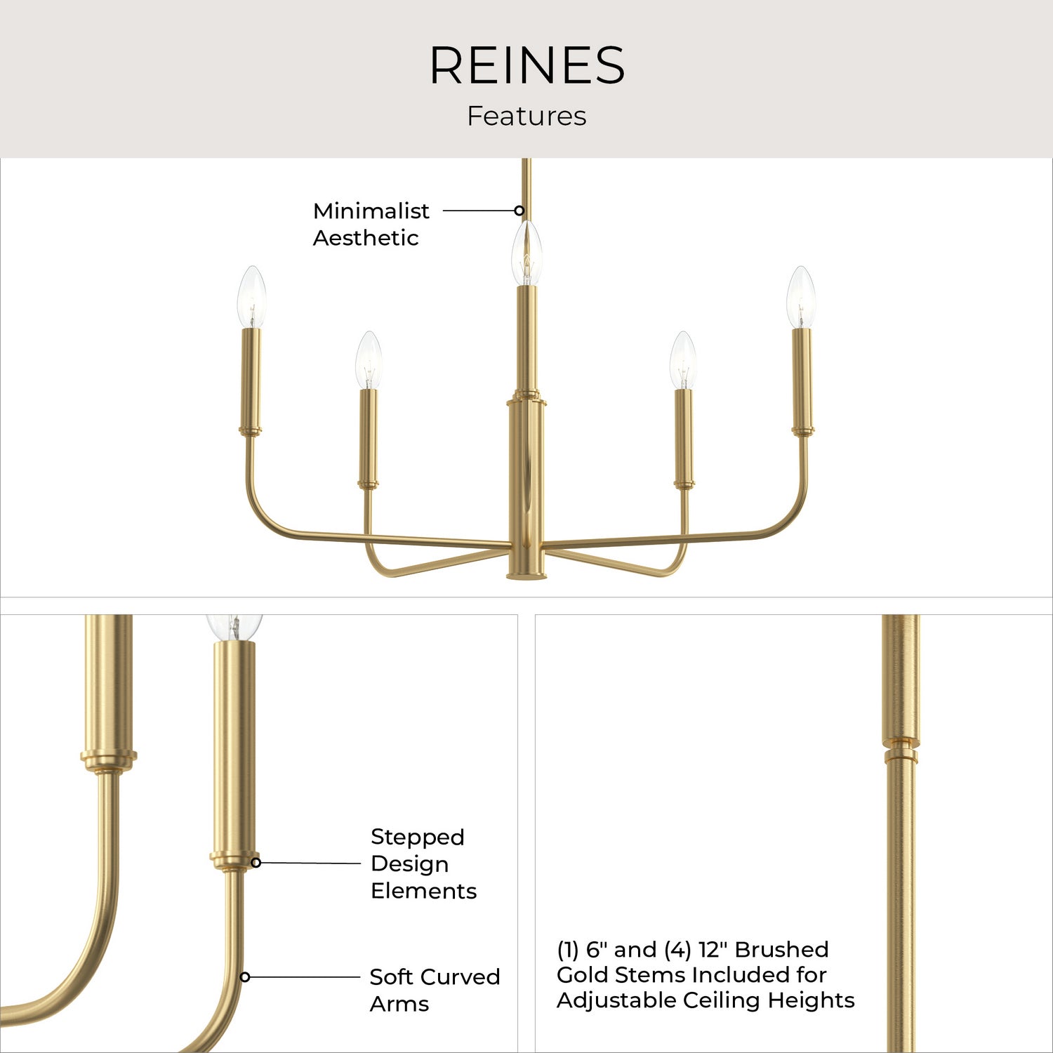 Progress Lighting - P400446-191 - Five Light Chandelier - Reines - Brushed Gold