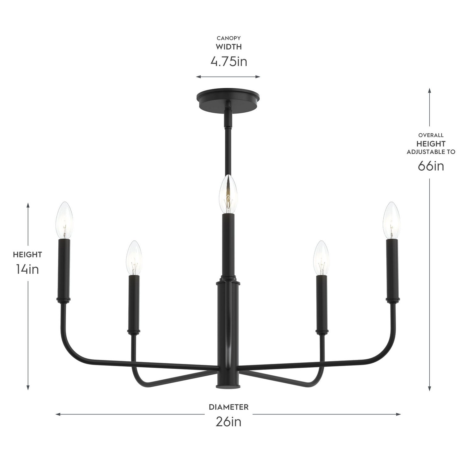 Progress Lighting - P400446-31M - Five Light Chandelier - Reines - Matte Black