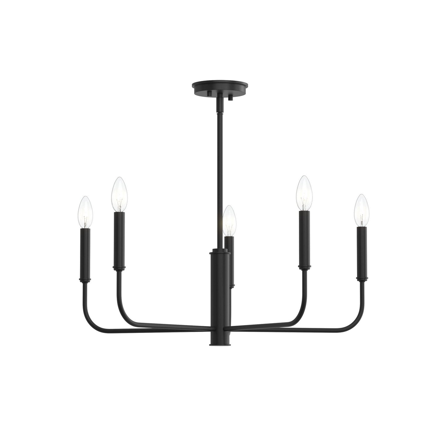 Progress Lighting - P400446-31M - Five Light Chandelier - Reines - Matte Black