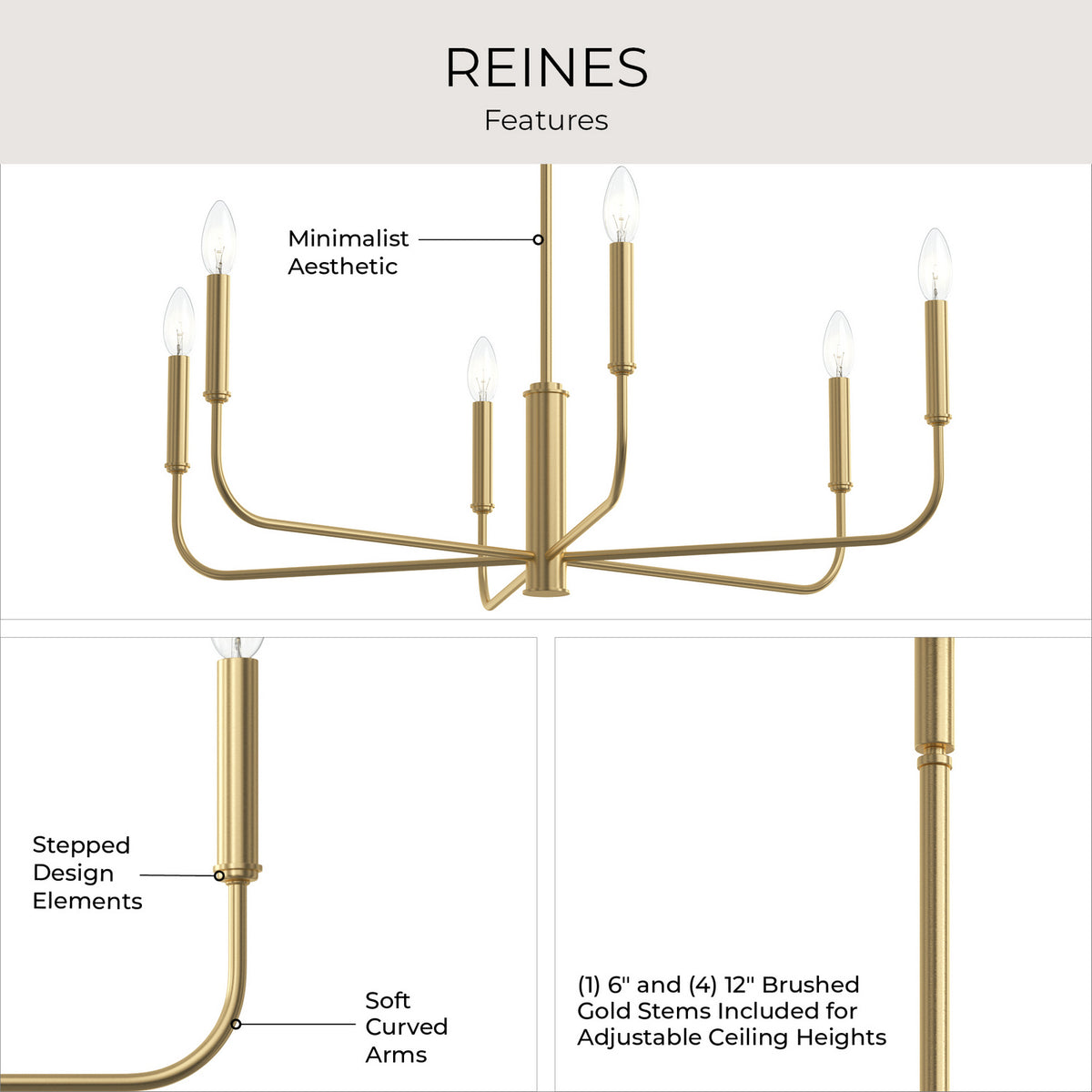 Progress Lighting - P400448-191 - Six Light Chandelier - Reines - Brushed Gold