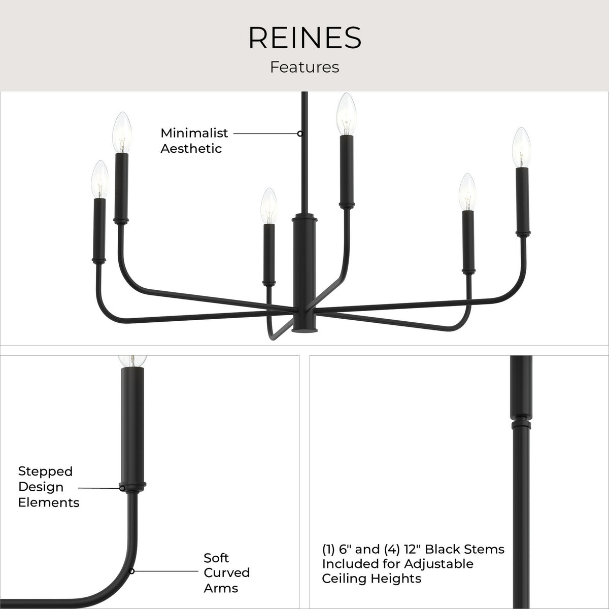 Progress Lighting - P400448-31M - Six Light Chandelier - Reines - Matte Black