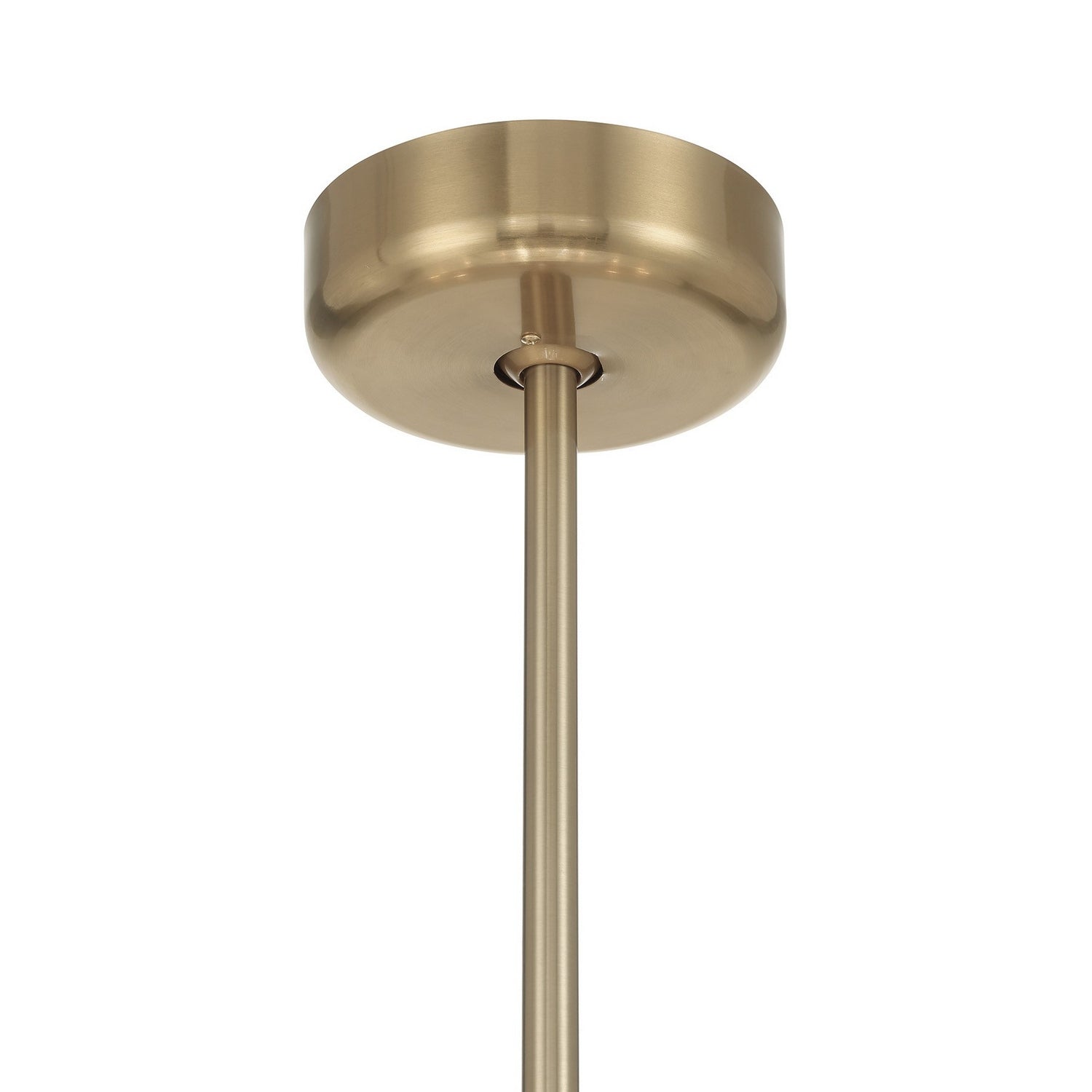 Savoy House - 32-FD-465-127 - 12 Light Fan D'Lier - Celina - Noble Brass