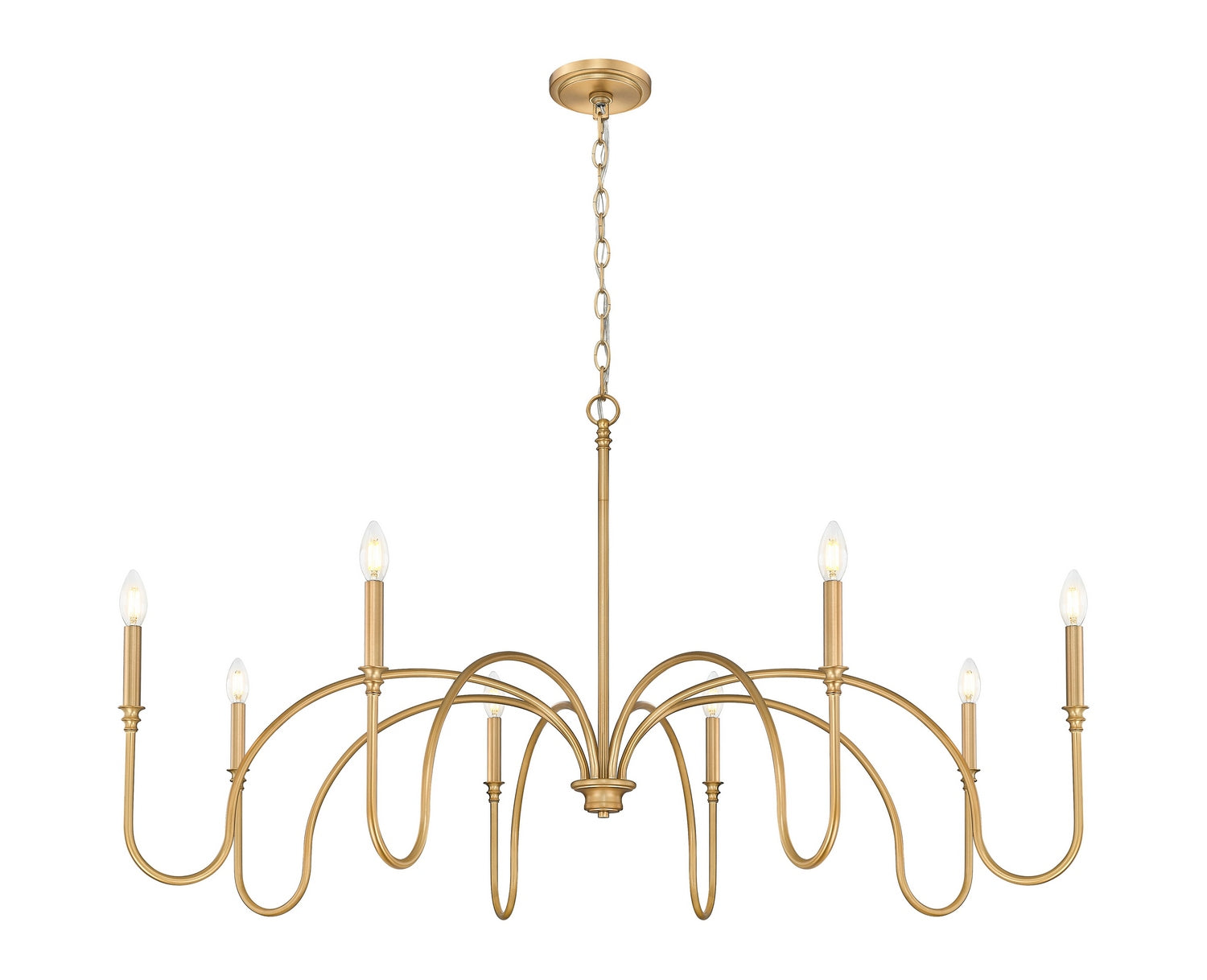 Z-Lite - 4505-8RB - Eight Light Chandelier - Jisele - Rubbed Brass