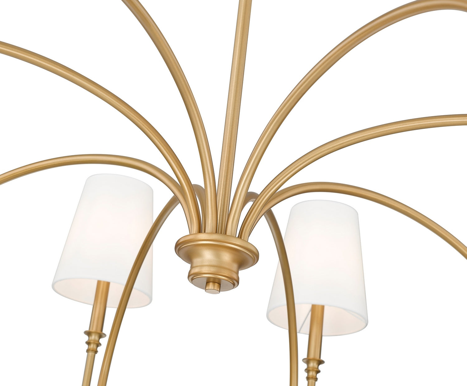 Z-Lite - 4505-8RB - Eight Light Chandelier - Jisele - Rubbed Brass