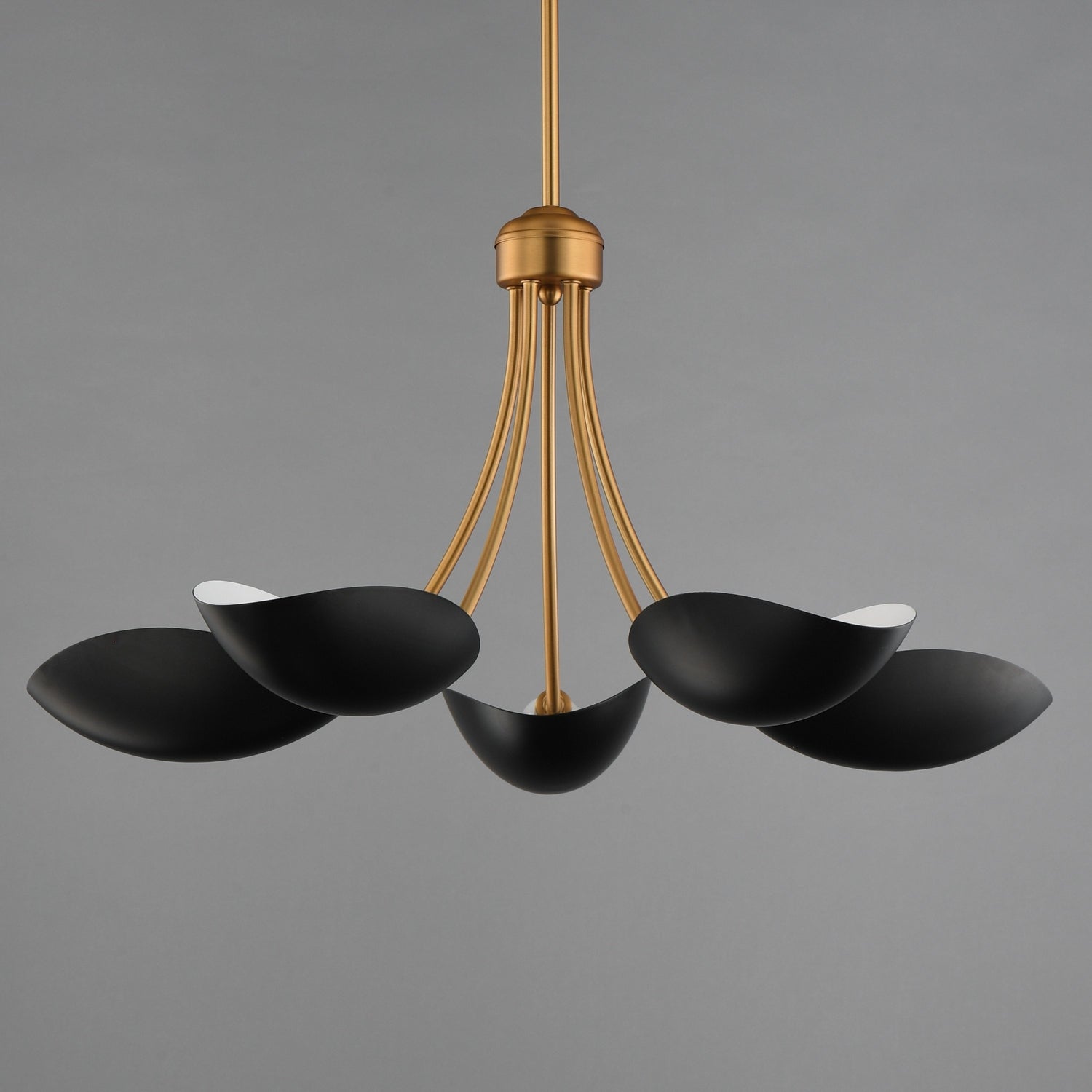 Maxim - 10825BKNAB - Five Light Chandelier - Maris - Black / Natural Aged Brass
