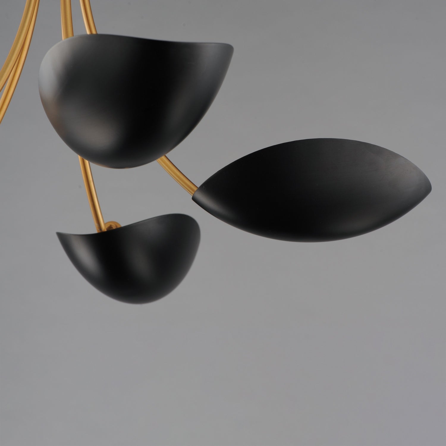 Maxim - 10825BKNAB - Five Light Chandelier - Maris - Black / Natural Aged Brass