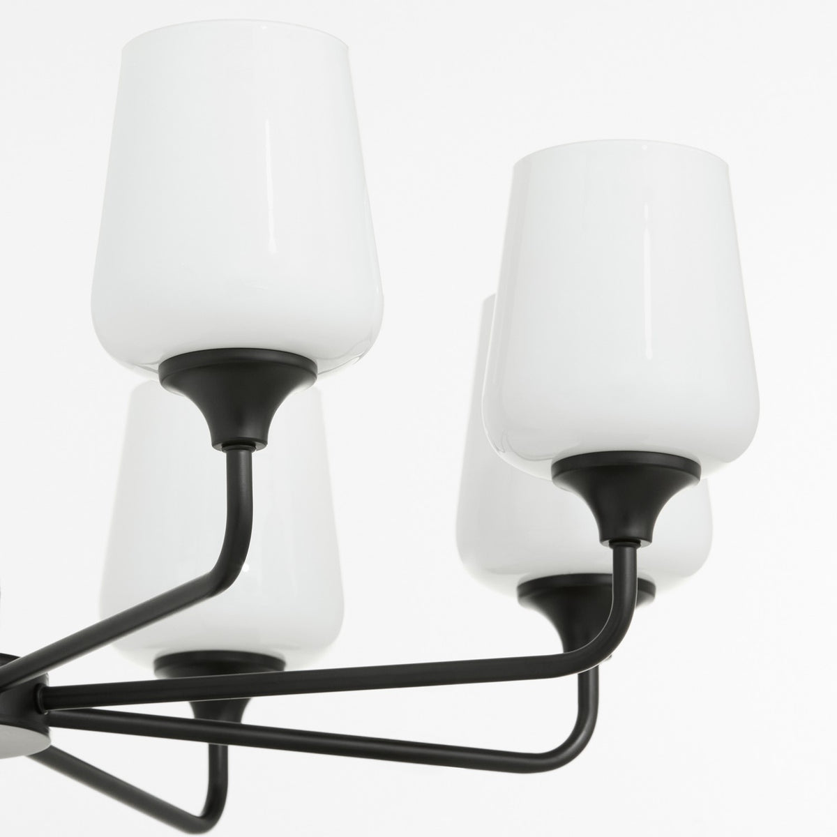 Quorum - 6313-8-259 - Eight Light Chandelier - Raymond - Matte Black