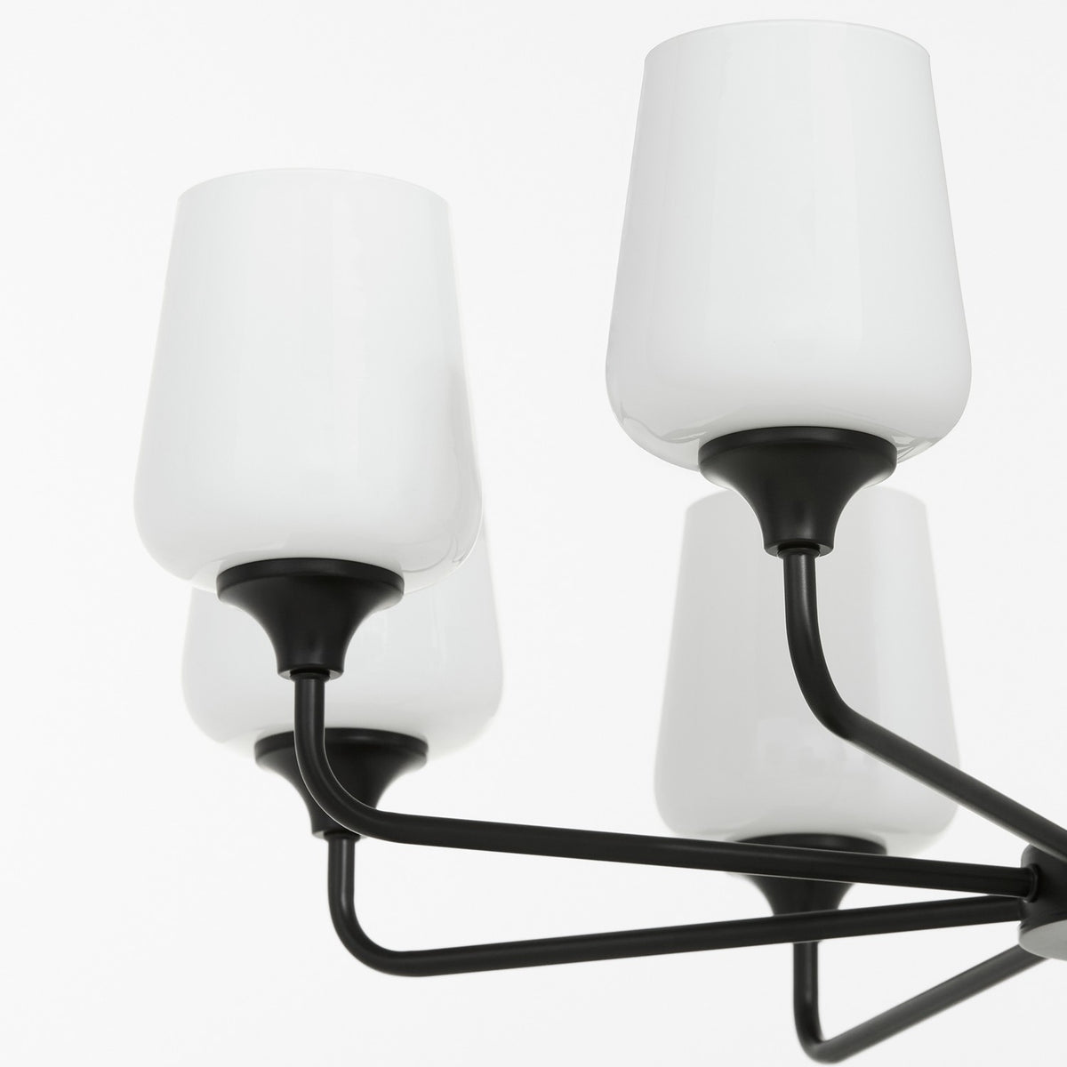 Quorum - 6313-8-259 - Eight Light Chandelier - Raymond - Matte Black