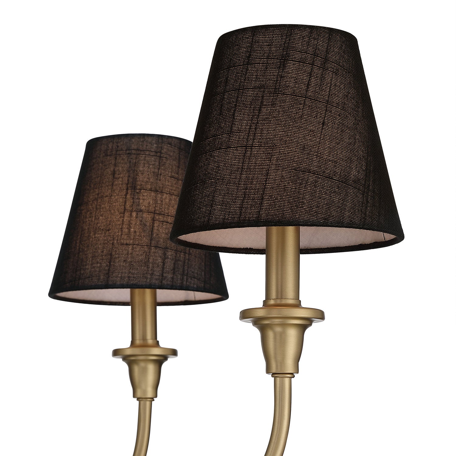 Golden - 1622-6 BCB-EHB - Six Light Chandelier - Cambria - Brushed Champagne Brass