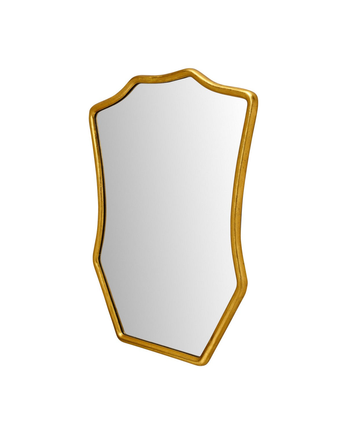 Currey and Company - 1000-0181 - Mirror - Aegis - Gold Leaf