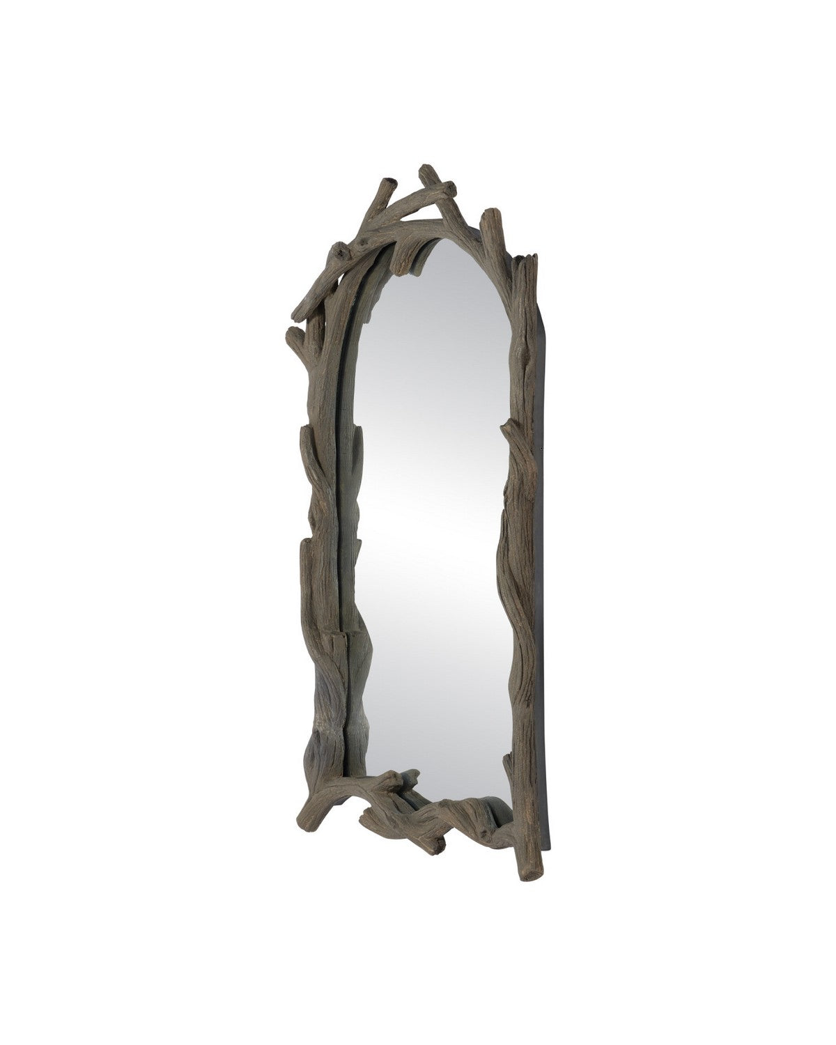Currey and Company - 1000-0187 - Mirror - Dunmore - Charbon de Bois