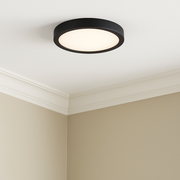 Round LED Flush Mount