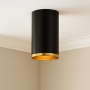 Arlo One Light Flush Mount