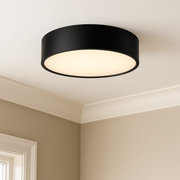 Brisbane Three Light Flush Mount