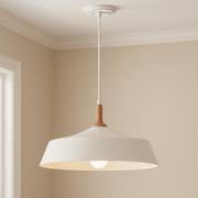 Danika One Light Pendant