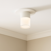 Twist-N-Lite LED Flush Mount