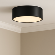 Brisbane Two Light Flush Mount